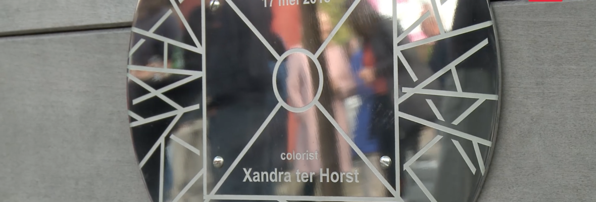VIDEO: Media Diamant voor Xandra ter Horst