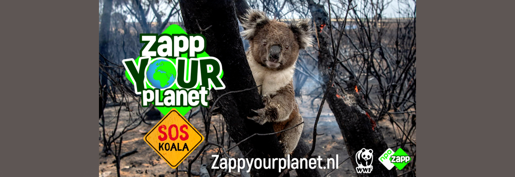 Noodhulpactie Zapp Your Planet: SOS Koala