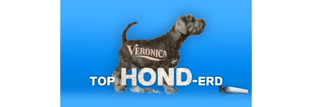 Radio Veronica viert dierendag met Top Hond-erd