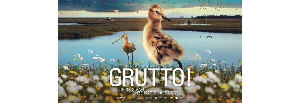 Drieluik Grutto! van Ruben Smit bij BNNVARA