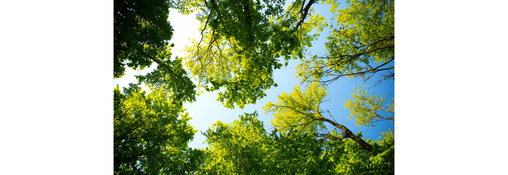 Stichting Greenbookings stimuleert duurzaamheid binnen de evenementensector