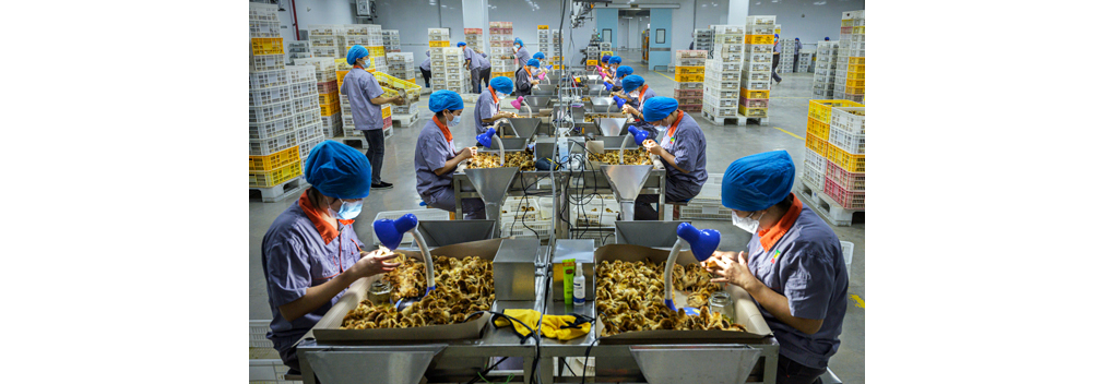 Food for Thought onthult de wereld achter ons voedsel