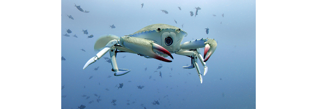 Article header image