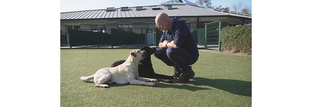 Mediawan Skyhigh maakt Bij Ons Op De Hondenacademie voor EO