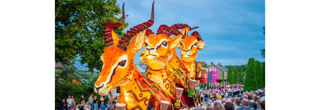 Bloemencorso Sint Jansklooster schittert in het donker