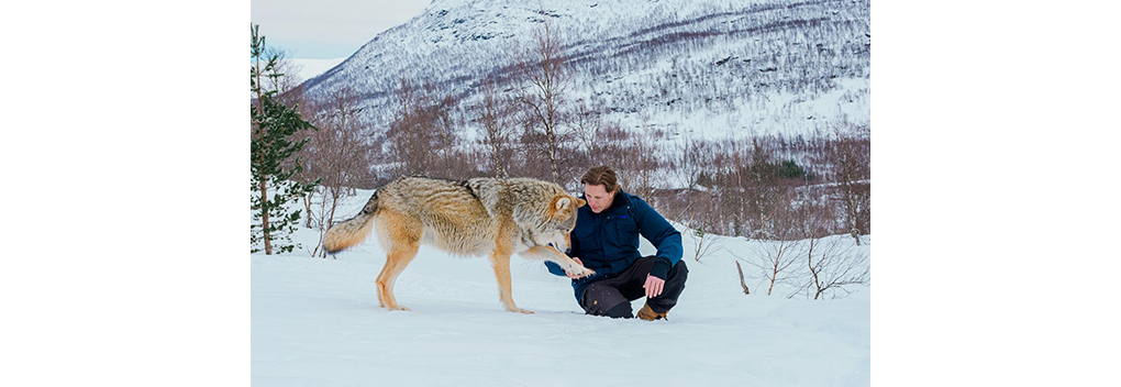 Freek Vonk opnieuw op zoek naar spannende dieren