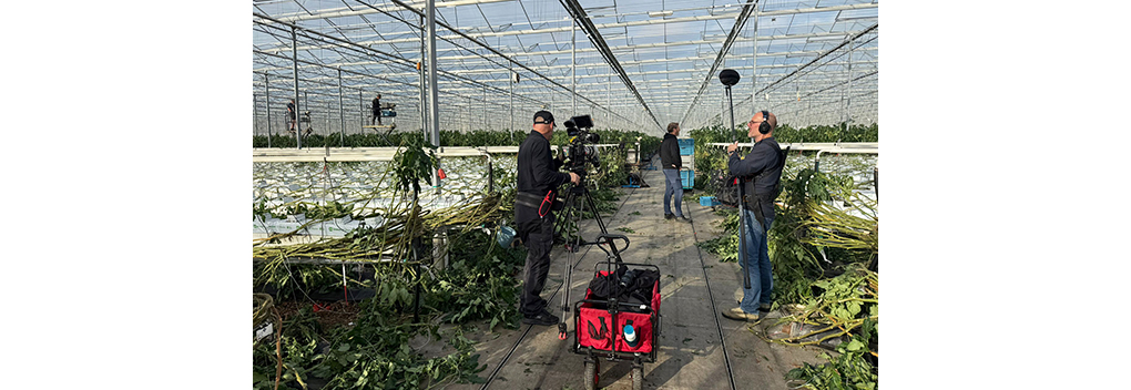 De Haaien maakt Glasland voor HUMAN