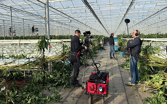 De Haaien maakt Glasland voor HUMAN